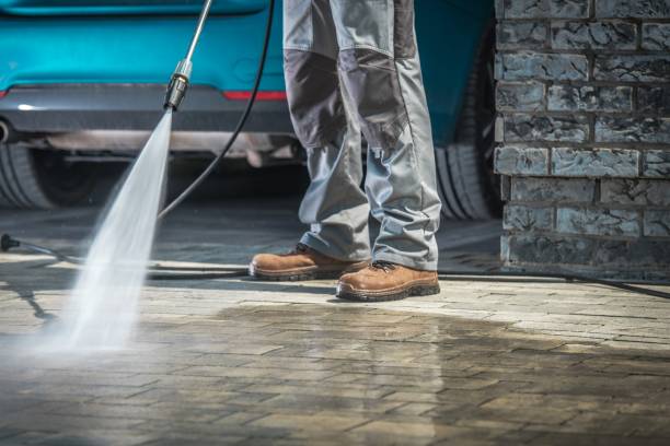 Best Roof Cleaning and Mildew Removal in Glen Rose, TX